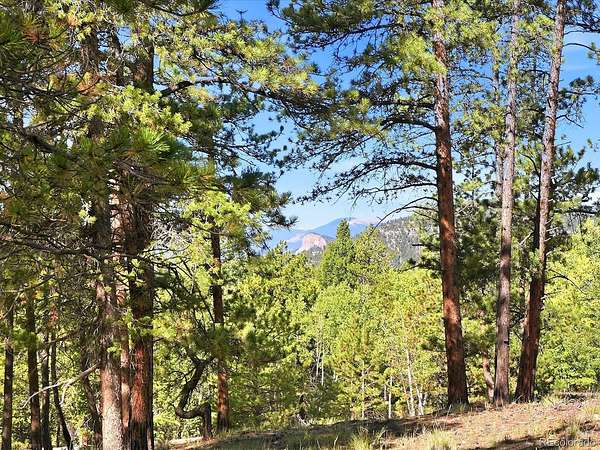 14.3 Acres of Land for Sale in Conifer, Colorado