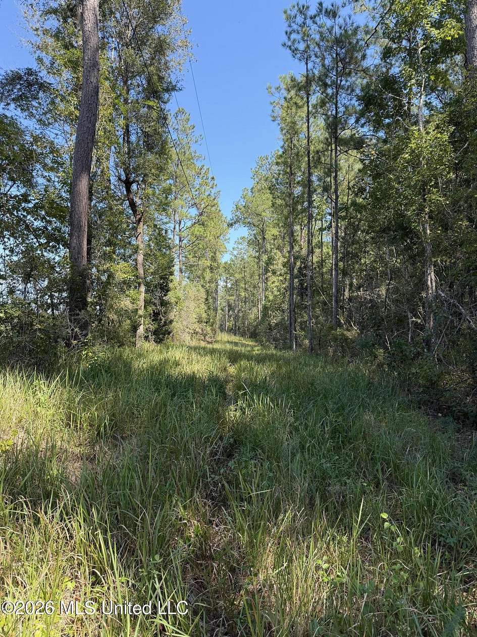 60 Acres of Recreational Land for Sale in Lucedale, Mississippi