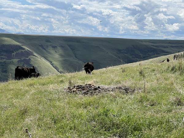 4,890 Acres of Improved Land for Sale in Asotin, Washington