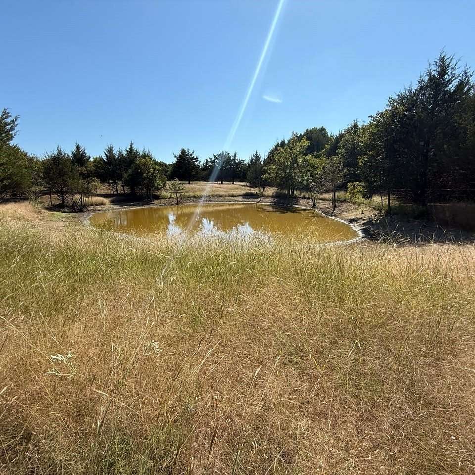 20.6 Acres of Improved Agricultural Land for Sale in Farmersville, Texas