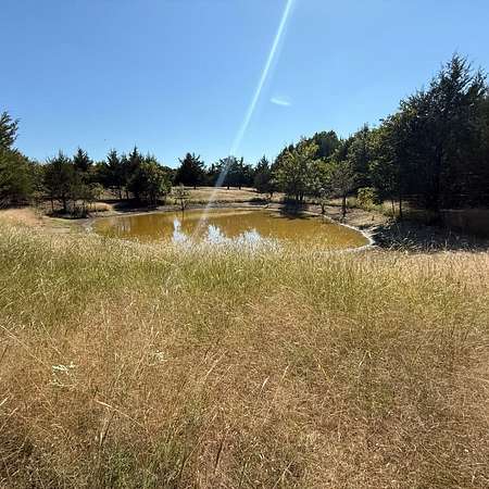 20.6 Acres of Improved Agricultural Land for Sale in Farmersville, Texas