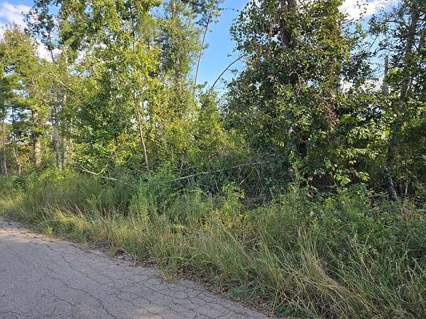 0.8 Acres of Residential Land for Sale in Jasper, Texas