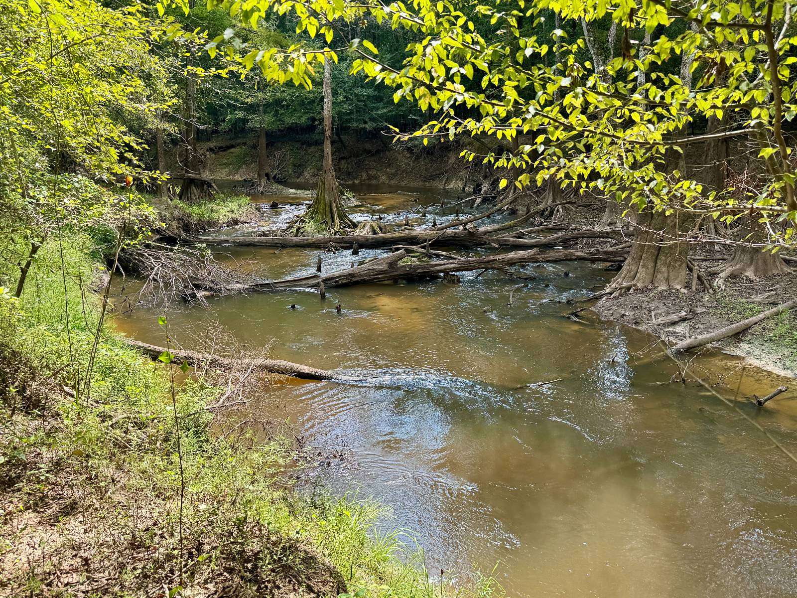 320 Acres of Recreational Land for Sale in Lucedale, Mississippi