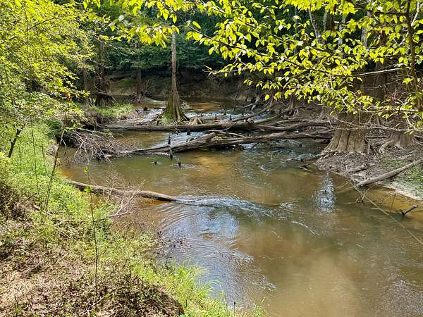 320 Acres of Recreational Land for Sale in Lucedale, Mississippi