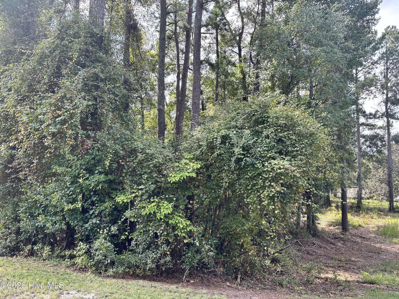 0.65 Acres of Residential Land for Sale in Atkinson, North Carolina