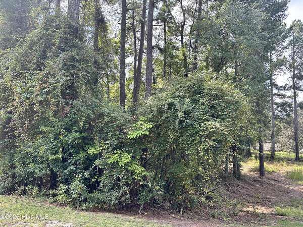 0.65 Acres of Residential Land for Sale in Atkinson, North Carolina