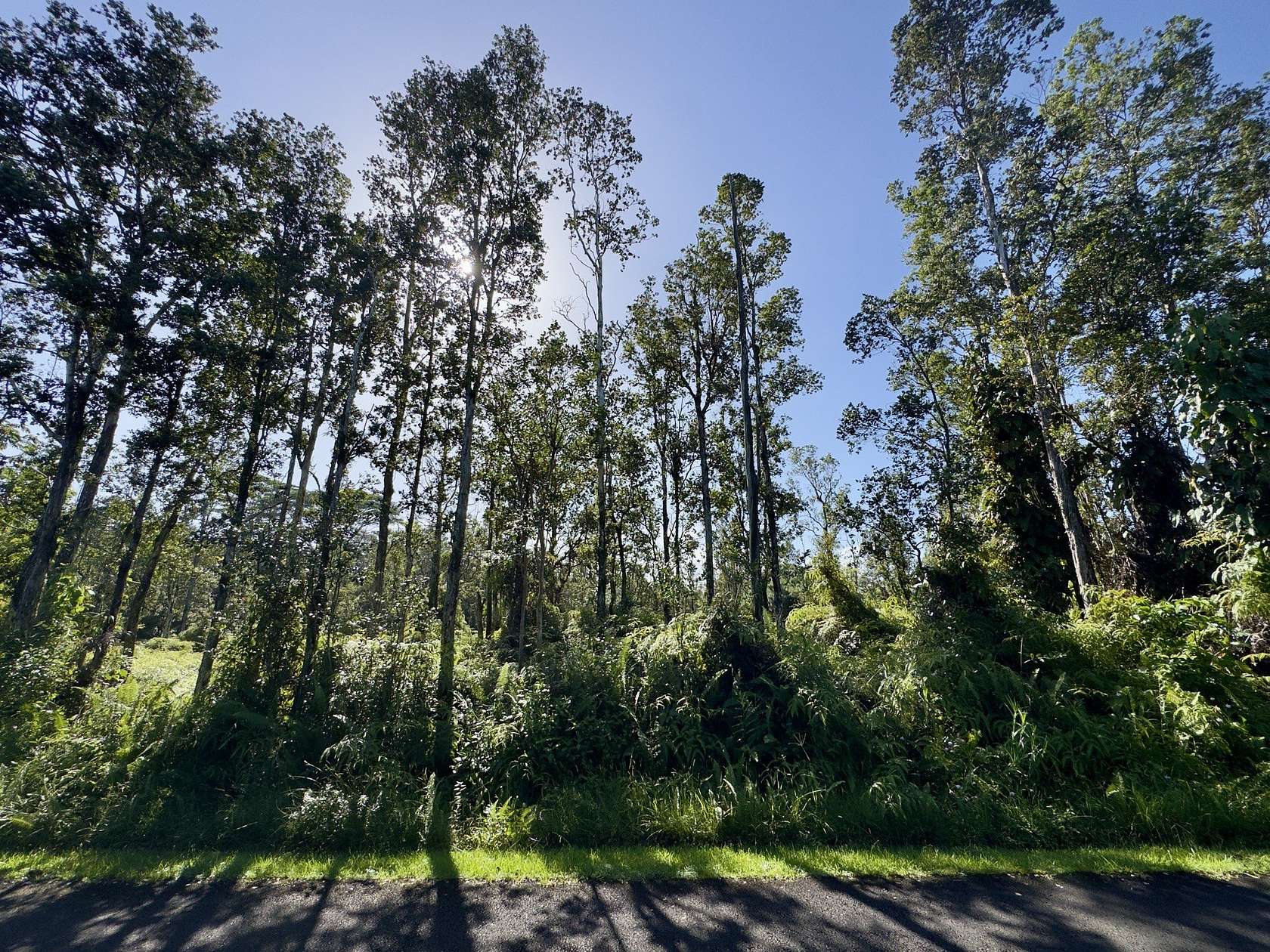 1 Acre of Residential Land for Sale in Pahoa, Hawaii
