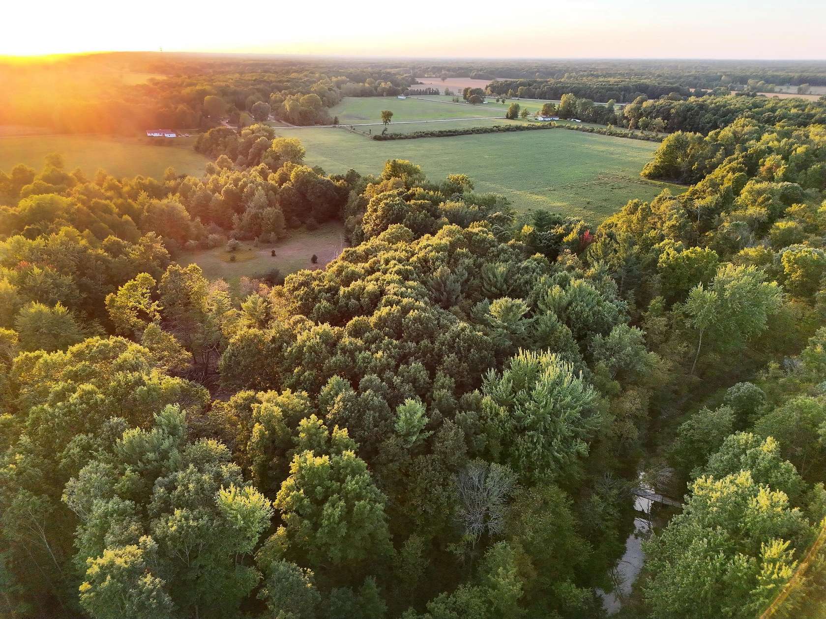 91.9 Acres of Land for Sale in Bannister, Michigan