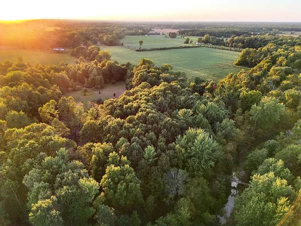 91.9 Acres of Land for Sale in Bannister, Michigan
