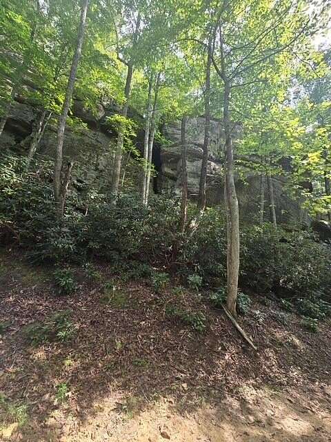 Land for Sale in Zoe, Kentucky