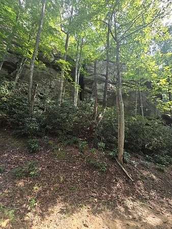 Land for Sale in Zoe, Kentucky