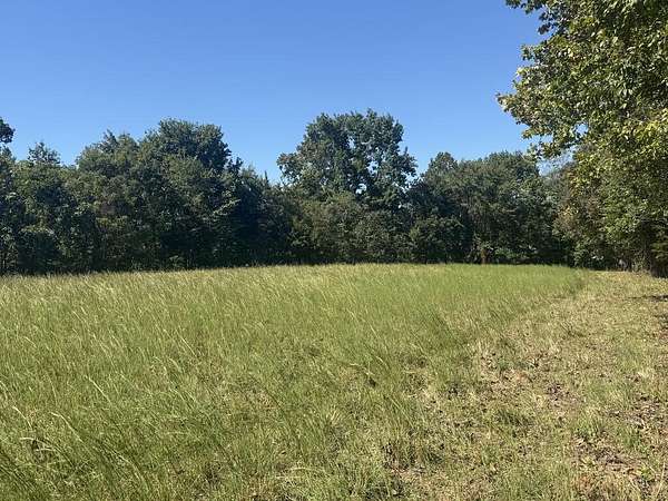 40 Acres of Agricultural & Residential Land for Sale in McKenzie, Tennessee