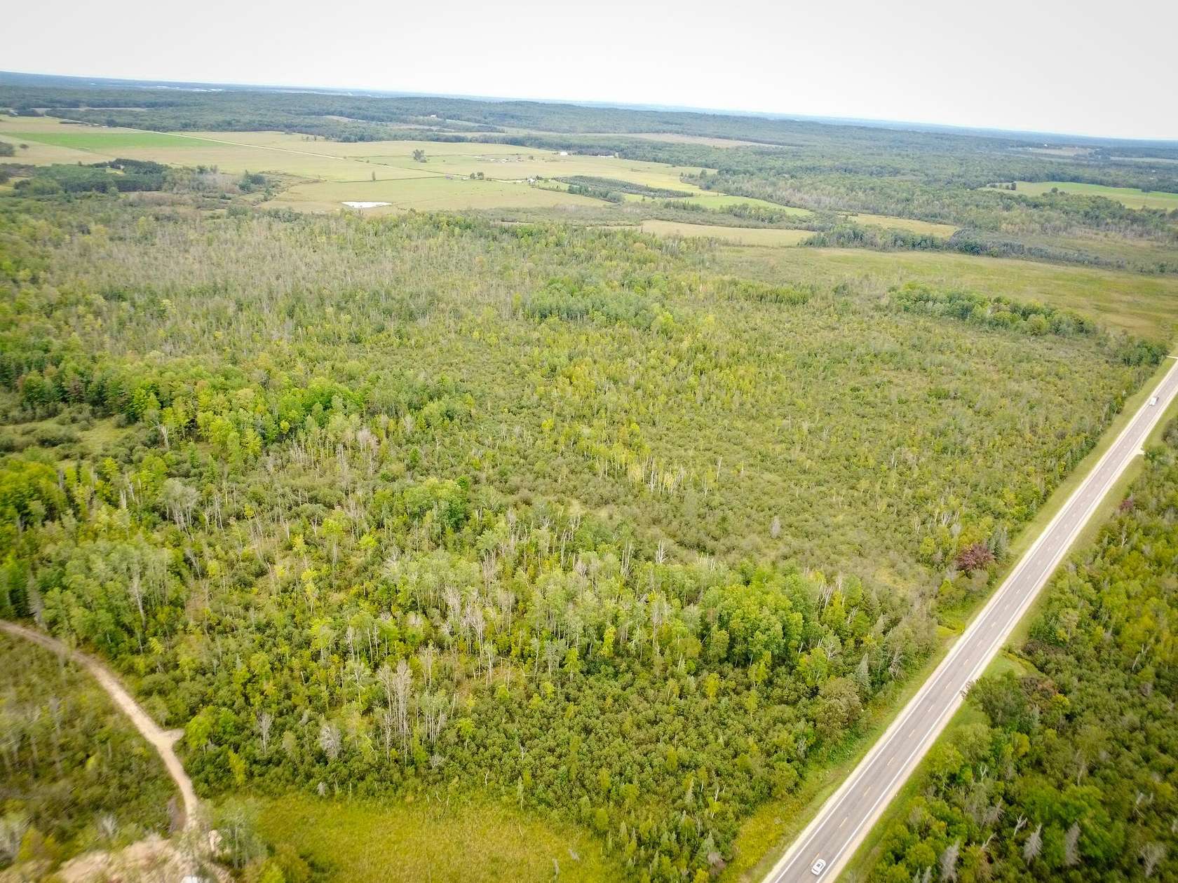 64.3 Acres of Recreational Land for Sale in Merritt, Michigan