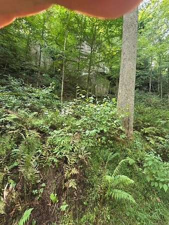 Land for Sale in Zoe, Kentucky