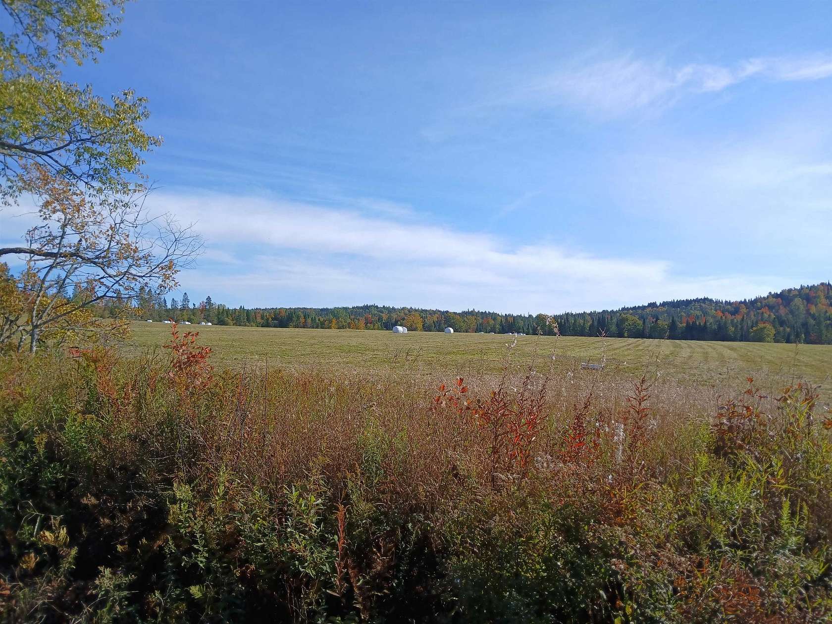 11 Acres of Land for Sale in Stewartstown, New Hampshire