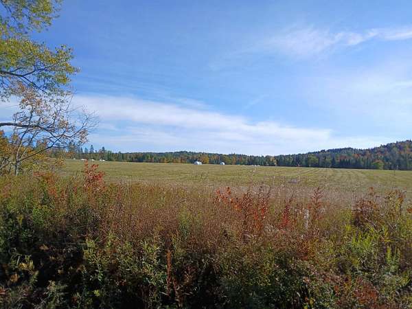11 Acres of Land for Sale in Stewartstown, New Hampshire