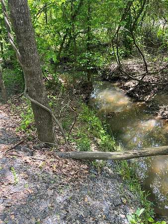 4 Acres of Residential Land for Sale in Smithville, Oklahoma