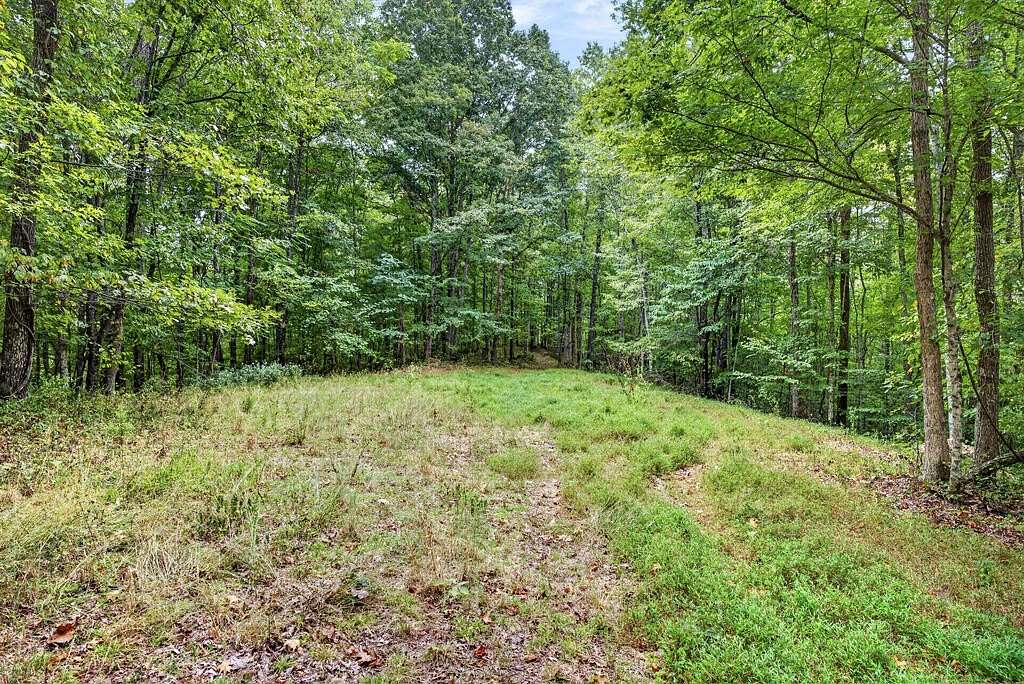15.8 Acres of Land for Sale in Celina, Tennessee