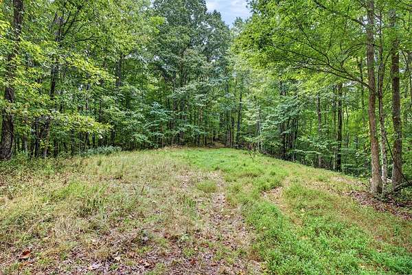 15.8 Acres of Land for Sale in Celina, Tennessee