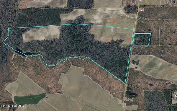 135 Acres of Land for Sale in Pinetops, North Carolina