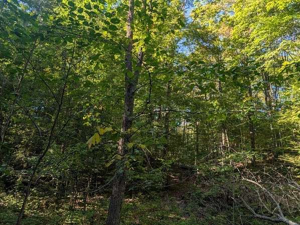 40 Acres of Recreational Land for Sale in East Jordan, Michigan
