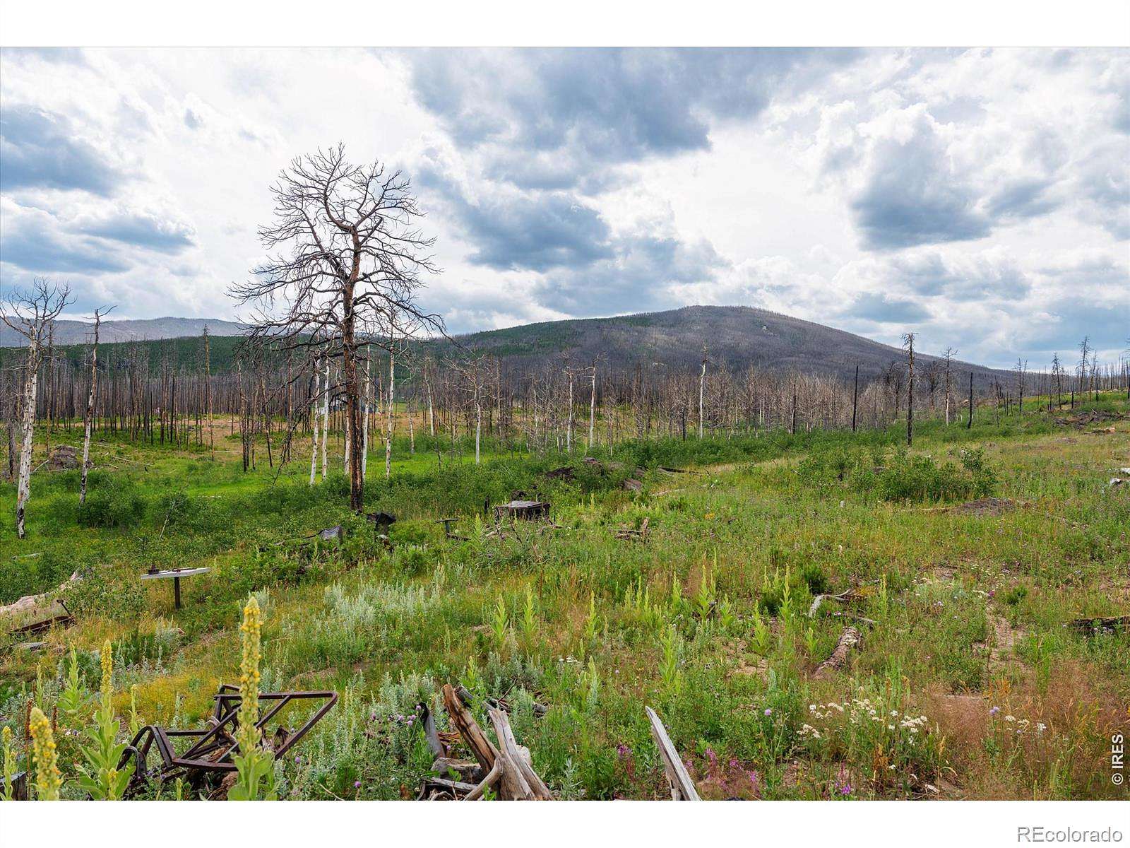6.1 Acres of Land for Sale in Bellvue, Colorado