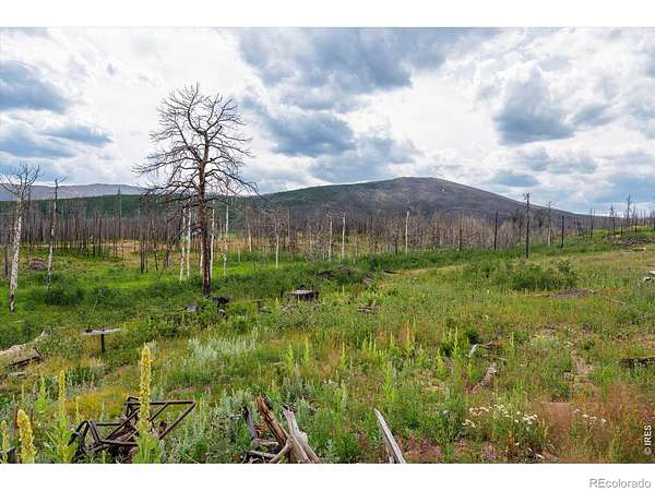 6.1 Acres of Land for Sale in Bellvue, Colorado