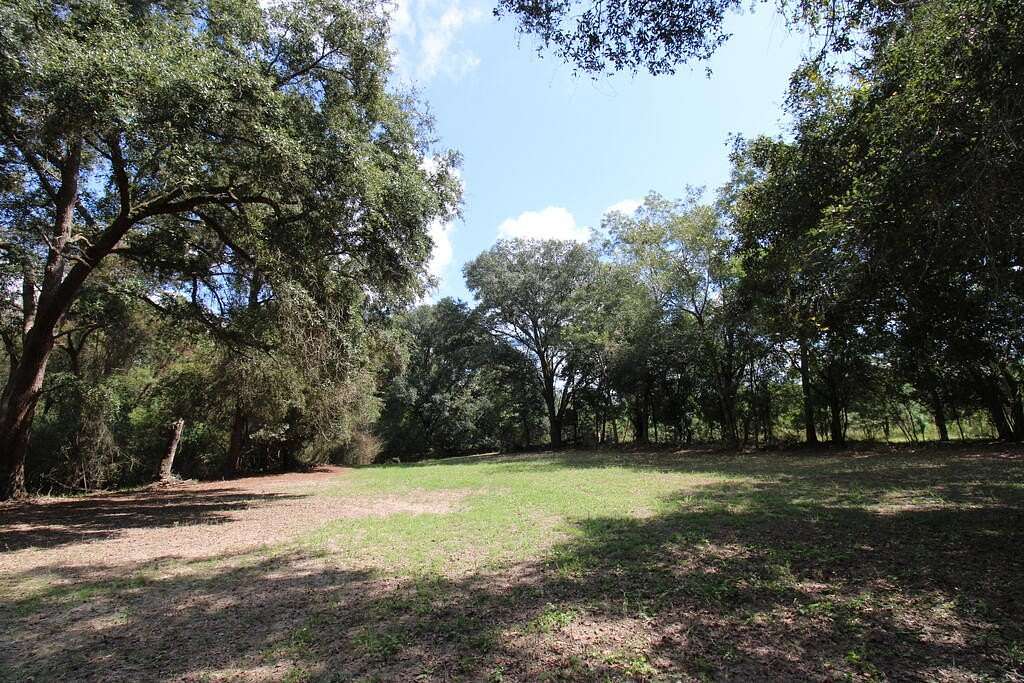 42.2 Acres of Recreational & Residential Land for Sale in Ochlocknee, Georgia