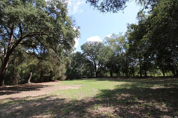 42.2 Acres of Recreational & Residential Land for Sale in Ochlocknee, Georgia