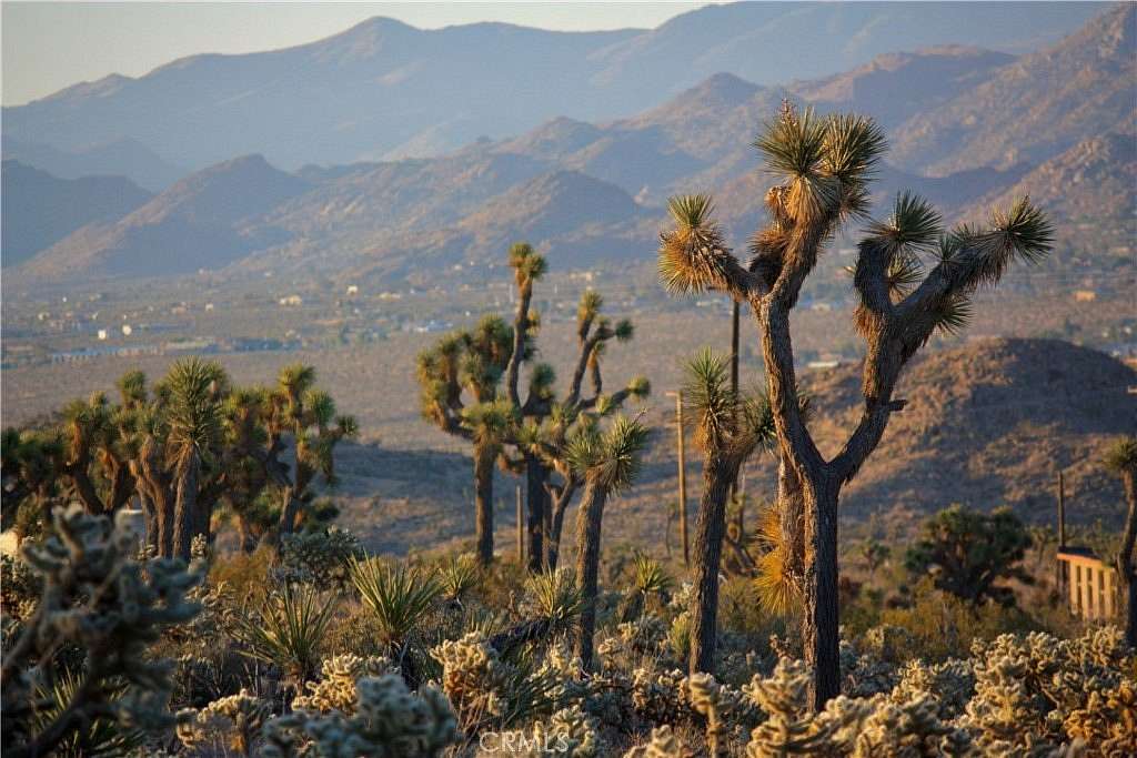 9.5 Acres of Residential Land for Sale in Yucca Valley, California