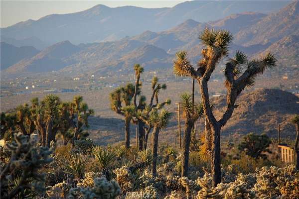 9.5 Acres of Residential Land for Sale in Yucca Valley, California