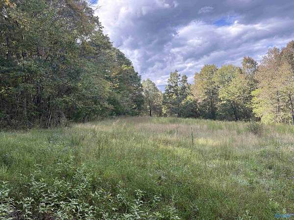 21 Acres of Land for Sale in Scottsboro, Alabama