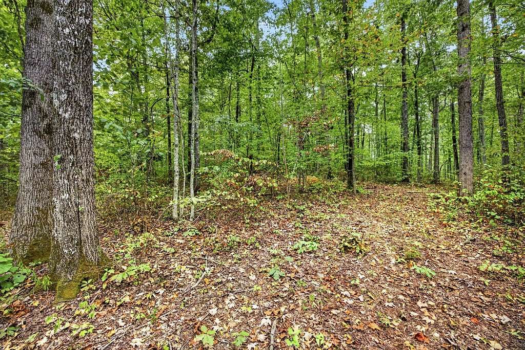 2.32 Acres of Residential Land for Sale in Celina, Tennessee