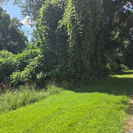 0.5 Acres of Residential Land for Sale in Victoria, Virginia