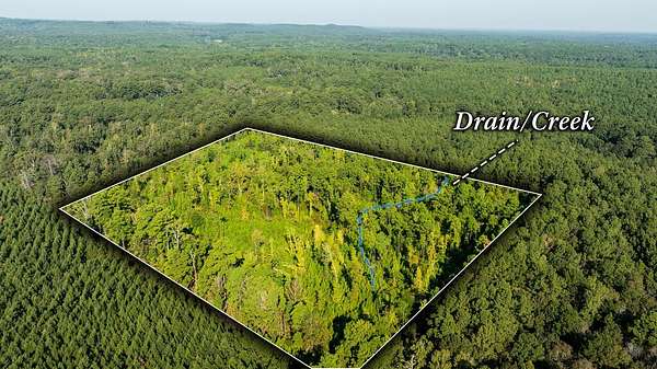 10 Acres of Recreational & Residential Land for Sale in Milam, Texas