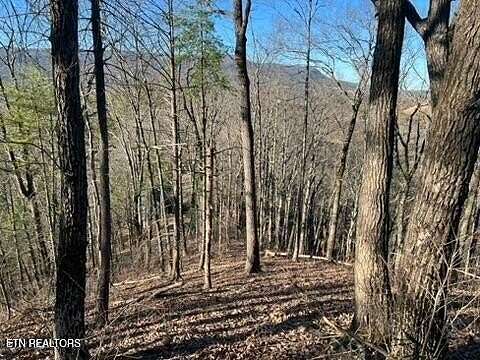 2 Acres of Residential Land for Sale in Sevierville, Tennessee