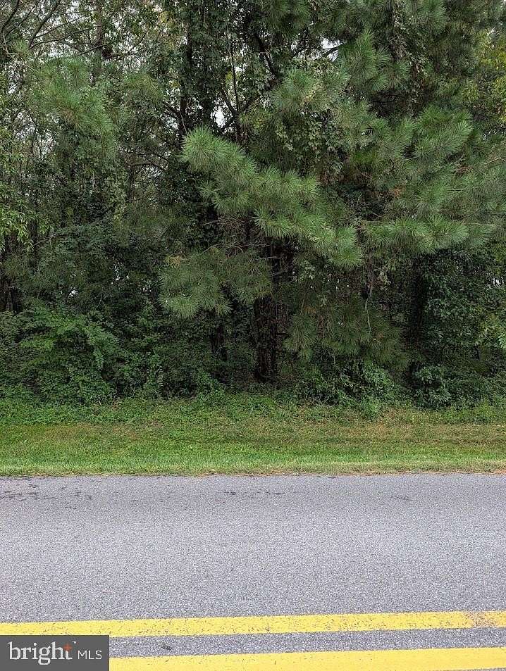 1 Acre of Residential Land for Sale in Dagsboro, Delaware