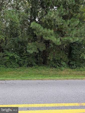1 Acre of Residential Land for Sale in Dagsboro, Delaware