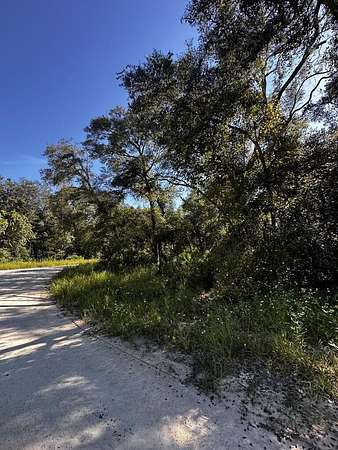 2.5 Acres of Land for Sale in Old Town, Florida