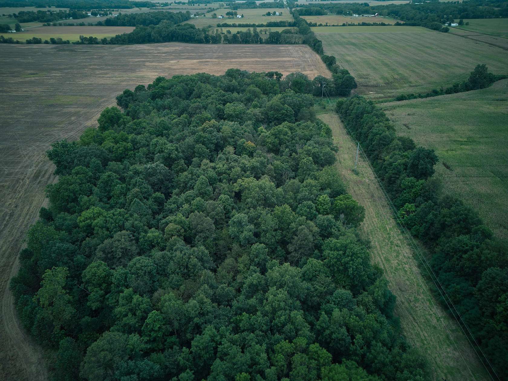 14 Acres of Recreational & Residential Land for Sale in Bronson, Michigan
