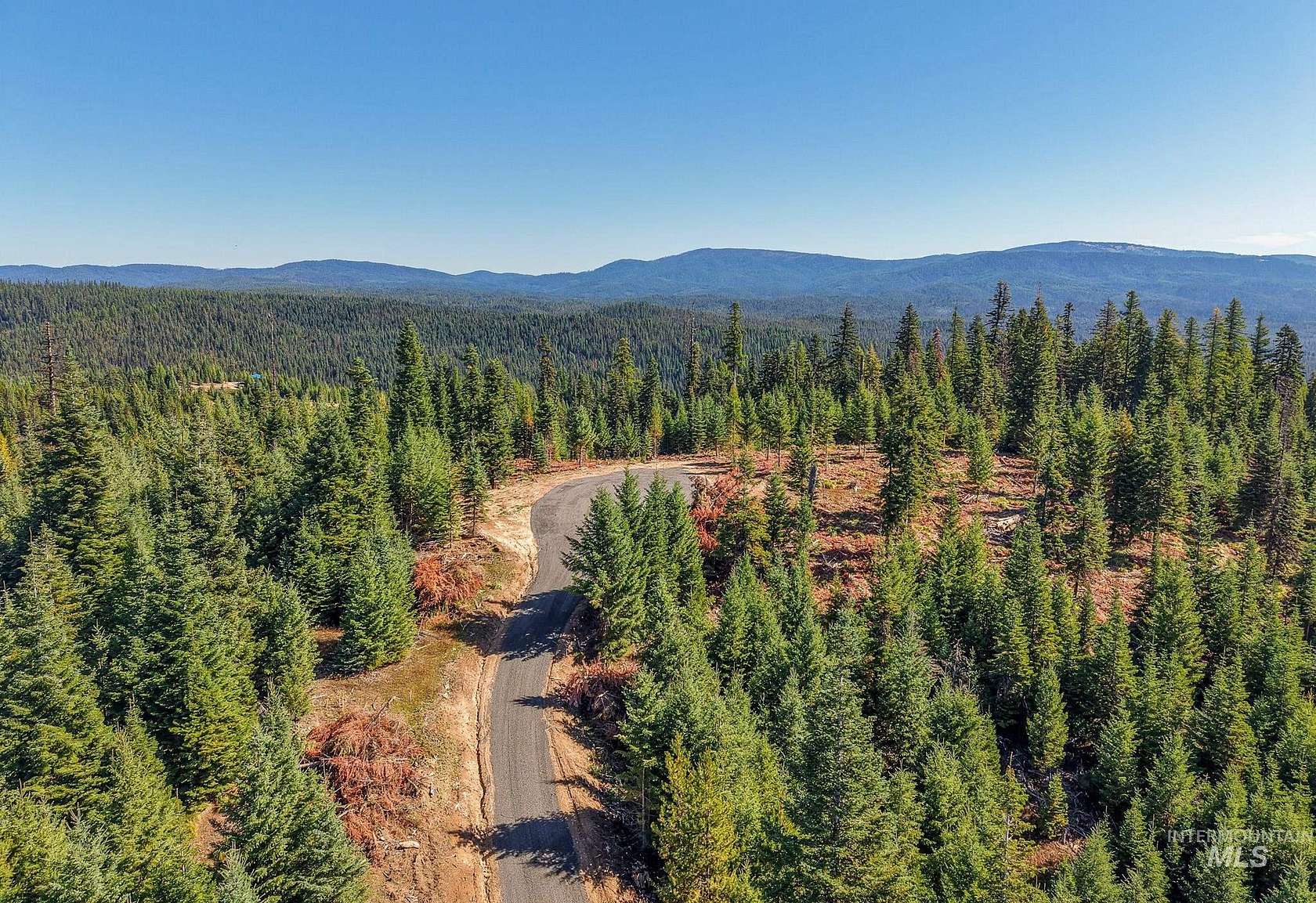 45.2 Acres of Recreational Land for Sale in Elk City, Idaho