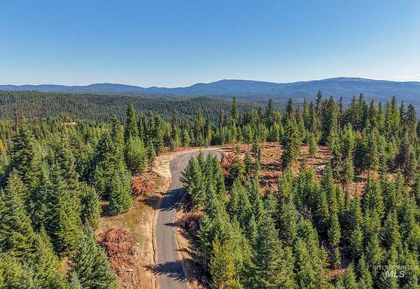 45.2 Acres of Recreational Land for Sale in Elk City, Idaho