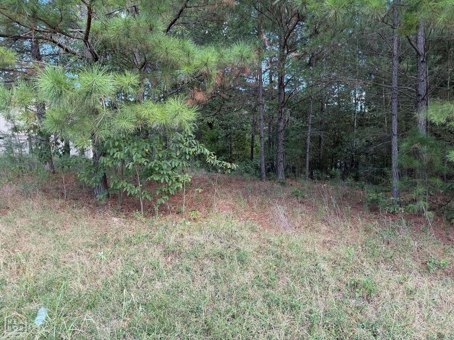 0.28 Acres of Residential Land for Sale in Paragould, Arkansas
