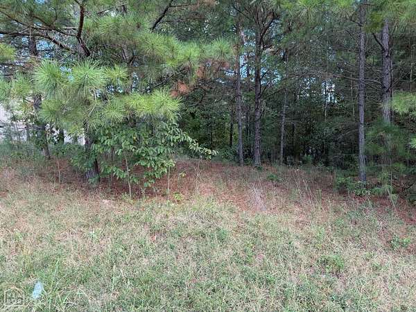 0.28 Acres of Residential Land for Sale in Paragould, Arkansas