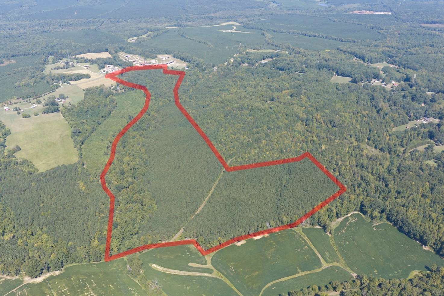 67 Acres of Recreational Land for Sale in Drakes Branch, Virginia