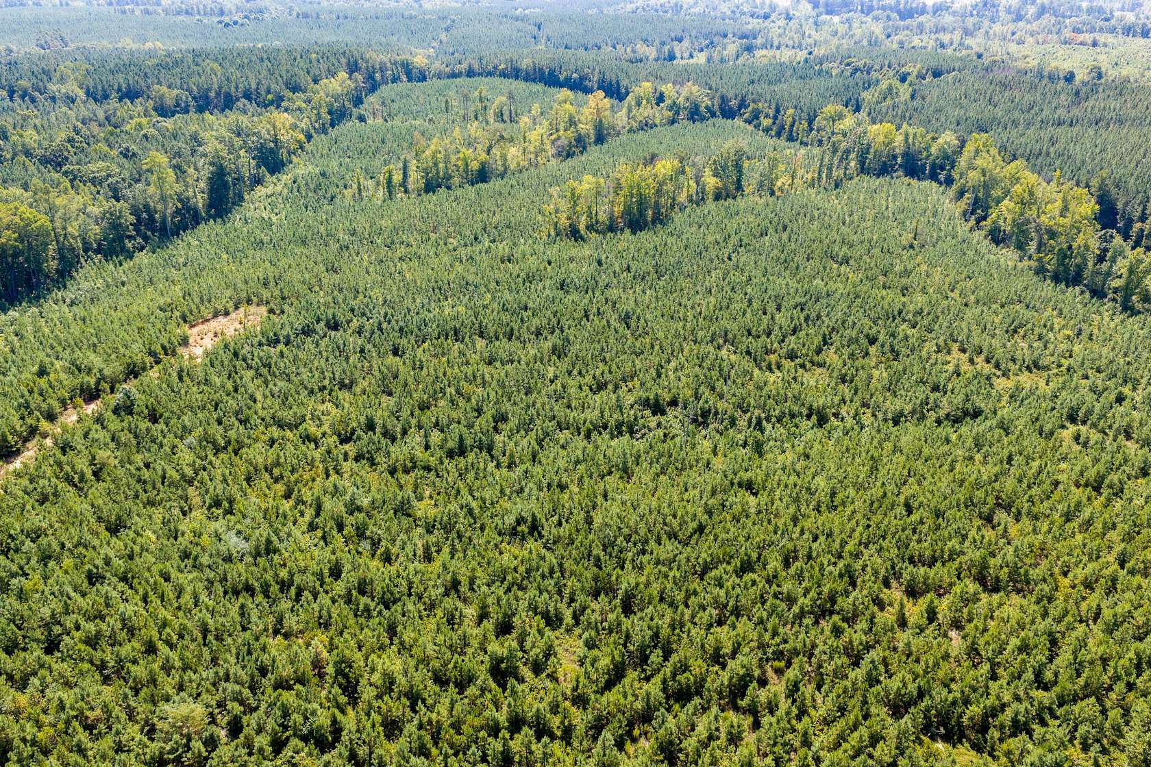 55 Acres of Recreational Land for Sale in Drakes Branch, Virginia