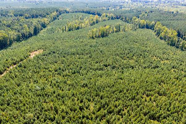 55 Acres of Recreational Land for Sale in Drakes Branch, Virginia
