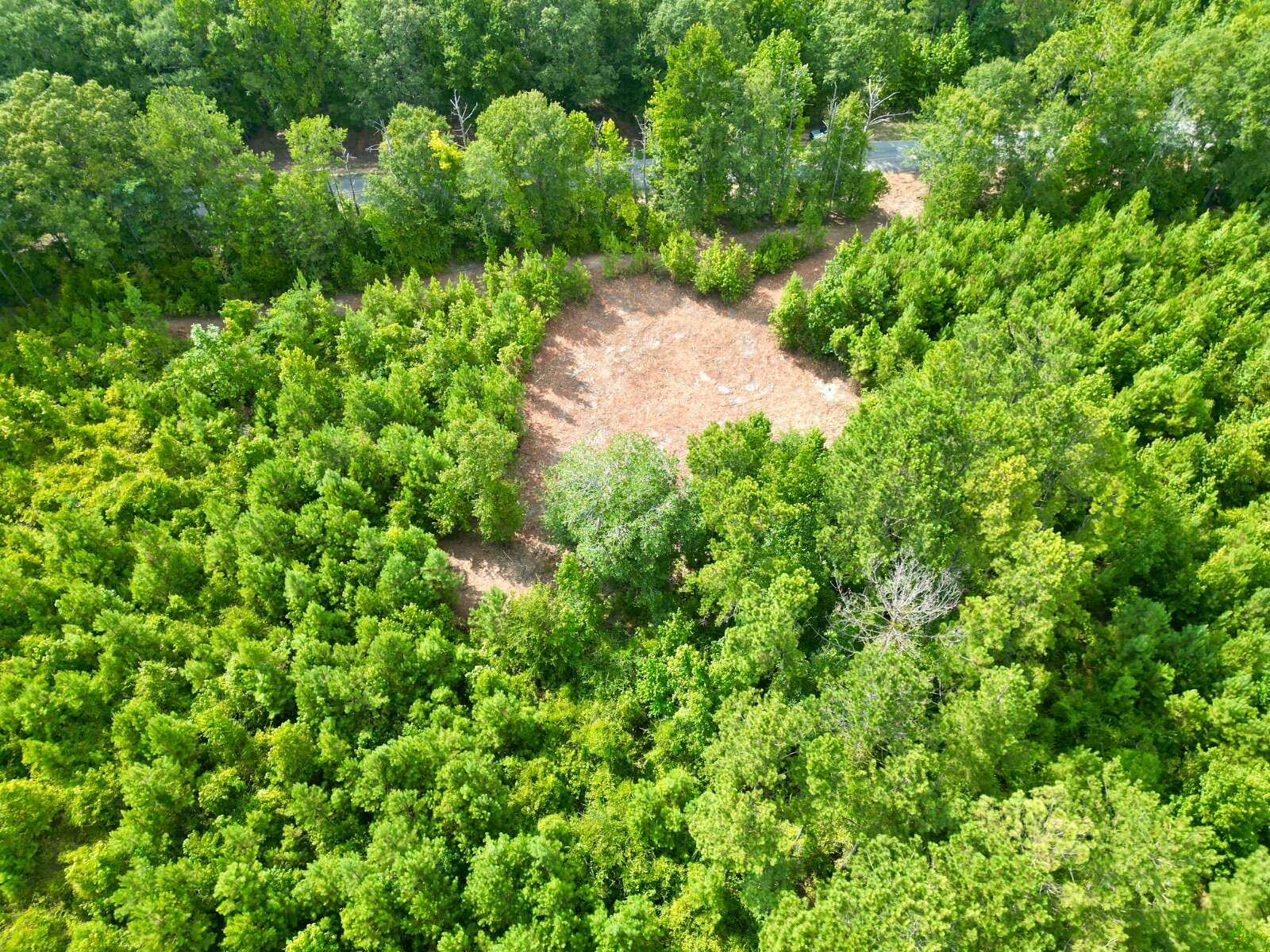 7.42 Acres of Residential Land for Sale in Goshen, Alabama