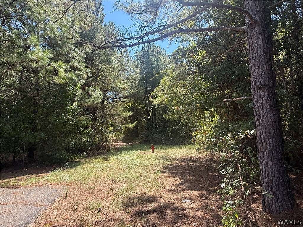 36 Acres of Recreational & Residential Land for Sale in Coker, Alabama