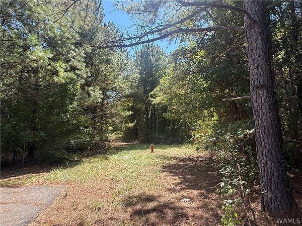36 Acres of Recreational & Residential Land for Sale in Coker, Alabama